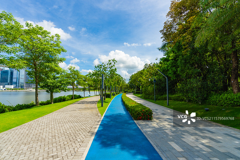 深圳人才公园绿意盎然的城市公园图片素材