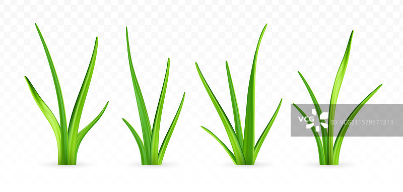 3D绿色草坪图片素材