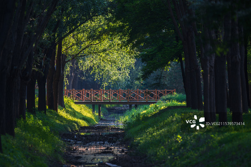 静谧之境图片素材