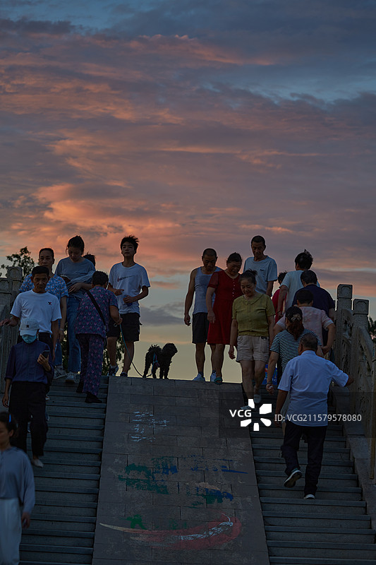 安徽省芜湖市弋江区三湖一坝生态湿地公园荷塘图片素材