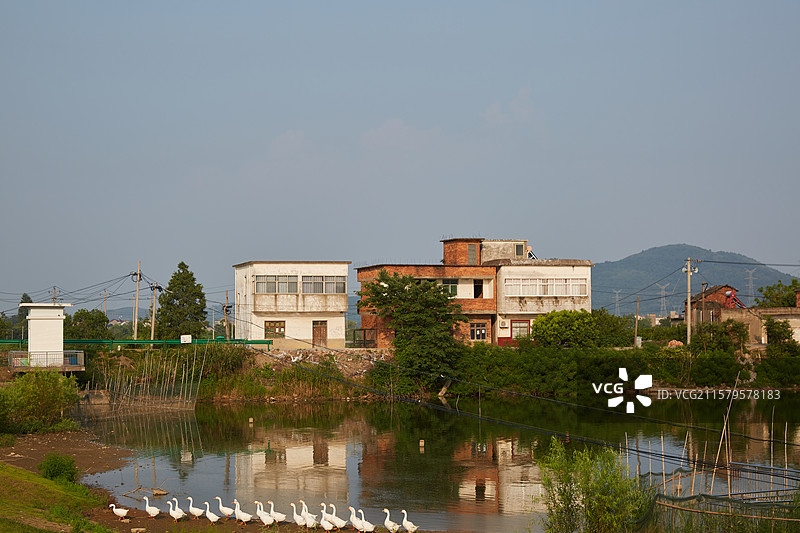 安徽省芜湖市峨桥镇后湾村风光图片素材