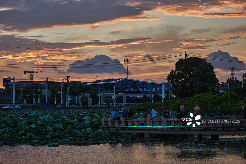 安徽省芜湖市弋江区三湖一坝生态湿地公园荷塘图片素材