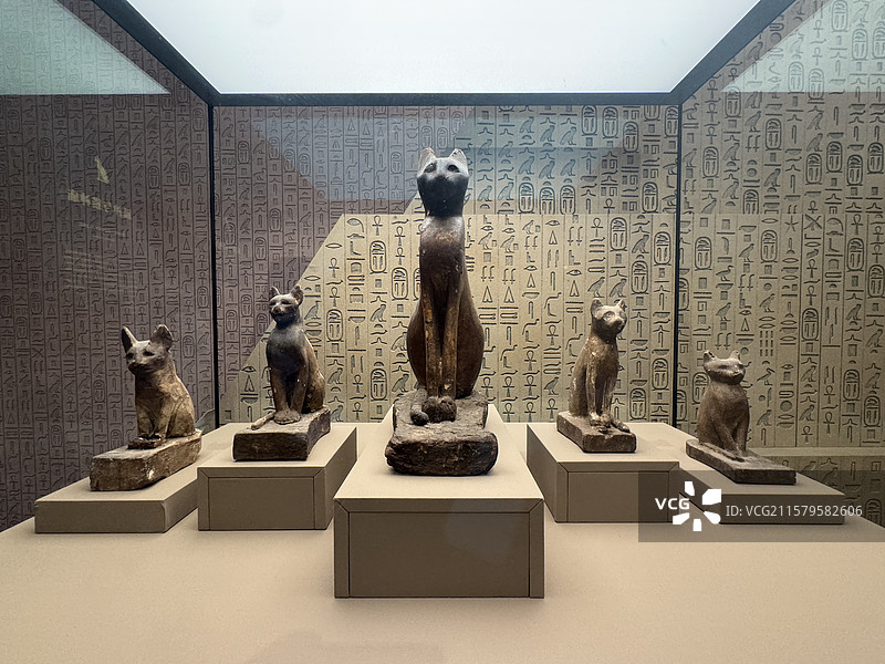 上海博物馆埃及特展古埃及猫科神祇五圣猫石雕图片素材
