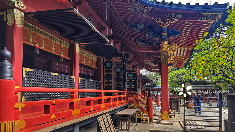 东京根津神社，历史超 1900 年，为东京十社之一，江户建筑保存完好，杜鹃花海美，还有文豪古迹，魅力图片素材