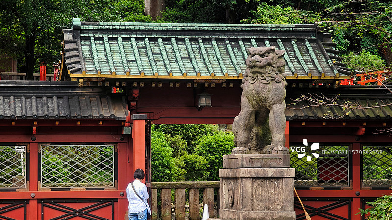东京根津神社，历史超 1900 年，为东京十社之一，江户建筑保存完好，杜鹃花海美，还有文豪古迹，魅力图片素材