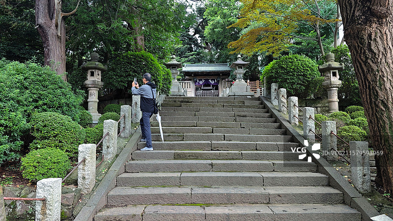东京根津神社，历史超 1900 年，为东京十社之一，江户建筑保存完好，杜鹃花海美，还有文豪古迹，魅力图片素材