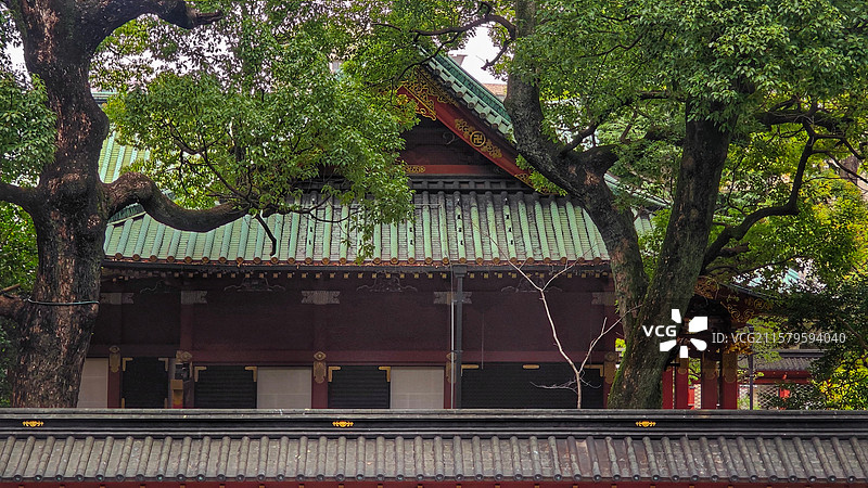 东京根津神社，历史超 1900 年，为东京十社之一，江户建筑保存完好，杜鹃花海美，还有文豪古迹，魅力图片素材