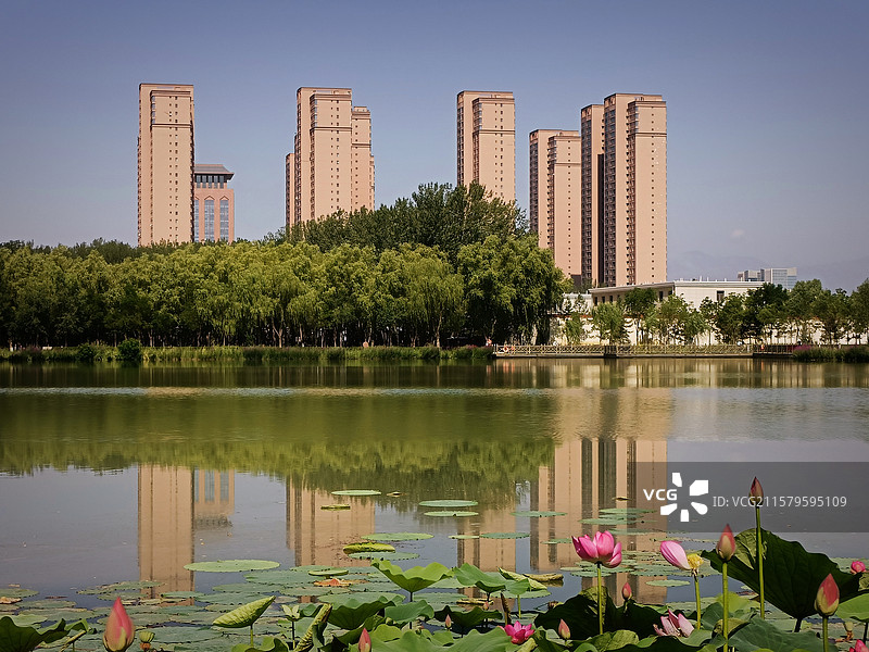 《湖岸建筑影》——银川华雁湖图片素材