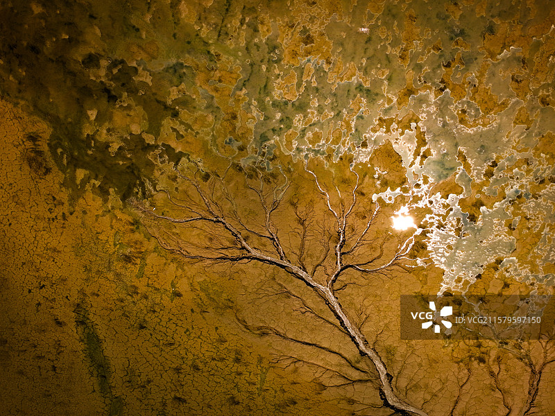 河南洛阳：黄河调水调沙现金色奇观，天然沙画长卷震撼呈现图片素材