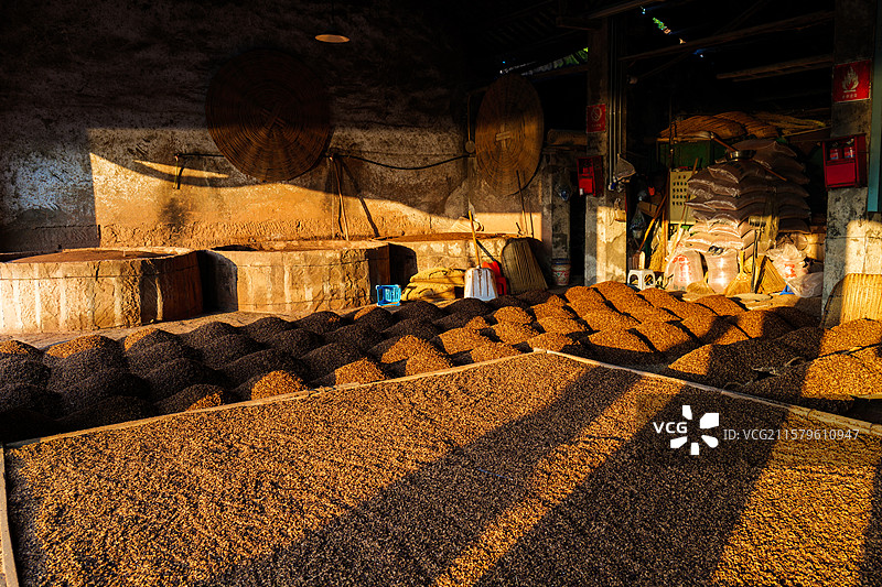 酿酒作坊内堆放的酒糟谷物原料图片素材