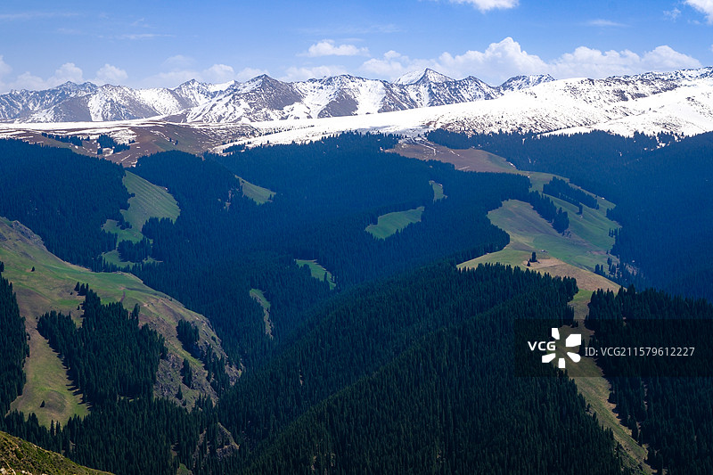 中国新疆伊犁州特克斯县喀拉峻草原猎鹰台观景台风光，喀拉峻草原野百合盛开图片素材