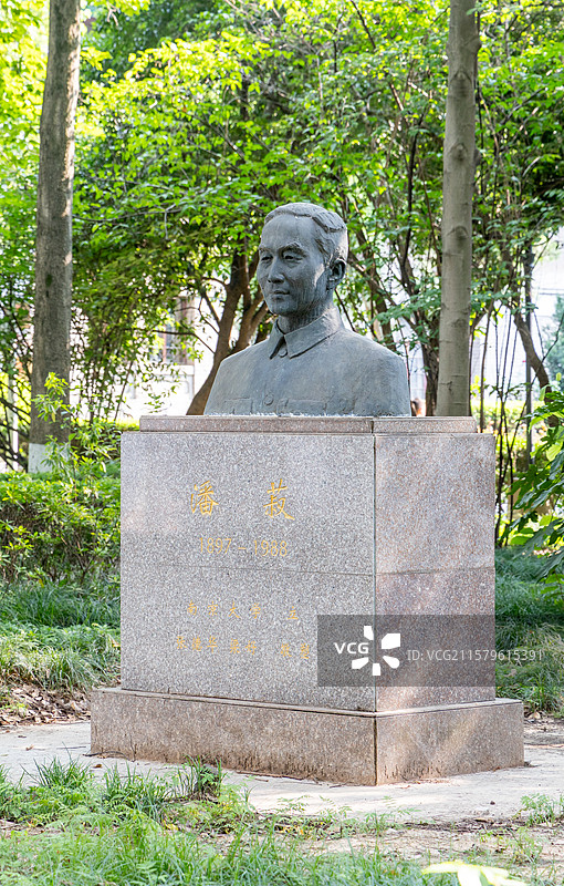 南京大学鼓楼校区百年校区夏季风光图片素材