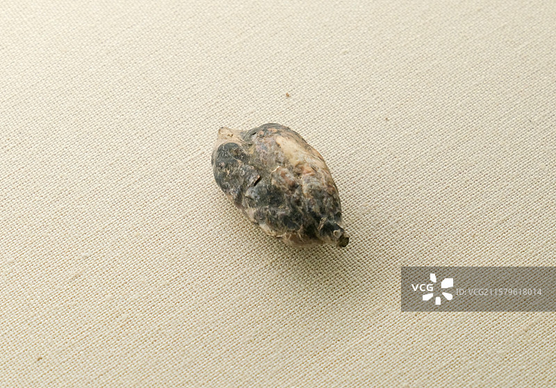 石核 旧石器时代晚期 澧县十里岗遗址出土 中国国家博物馆“古代中国陈列”图片素材