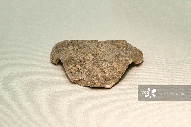 龟科化石 旧石器时代 道县玉蟾岩遗址出土 中国国家博物馆“古代中国陈列”图片素材