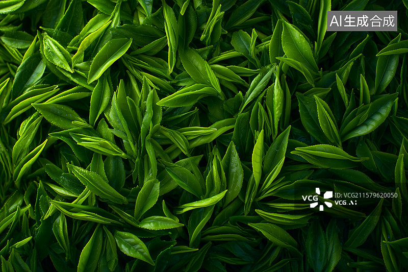 【AI数字艺术】一堆茶叶嫩芽图片素材
