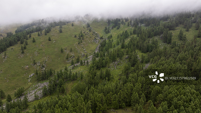 中国新疆阿勒泰云雾缭绕的森林航拍图片素材