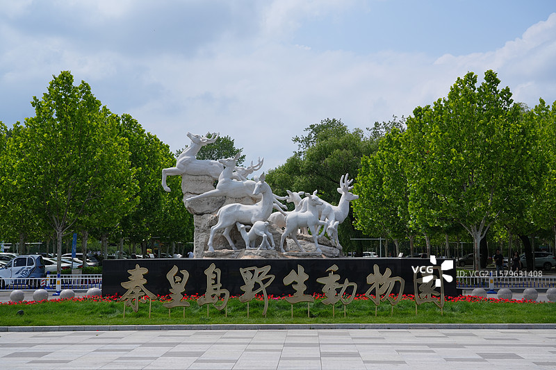 秦皇岛野生动物园图片素材