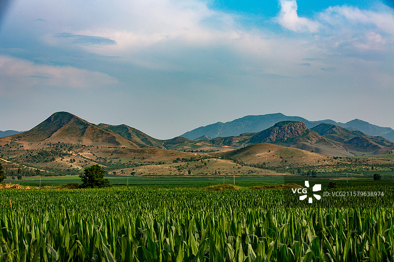 内蒙古克什克腾旗的群山和玉米作物图片素材