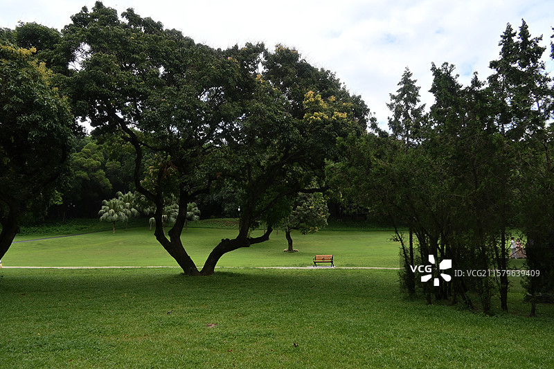 深圳中山公园的草地椅子图片素材
