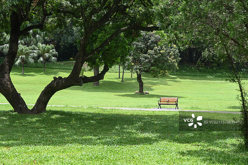 深圳中山公园的草地椅子图片素材