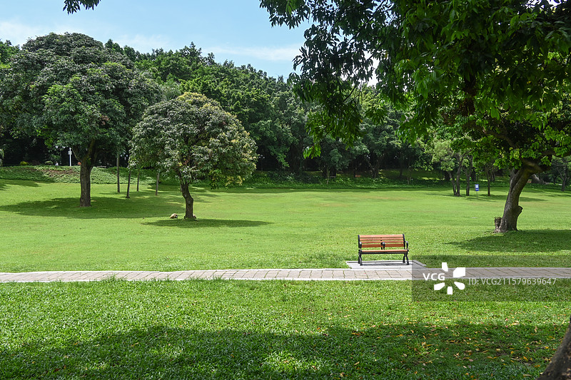 深圳中山公园的草地椅子图片素材