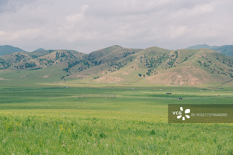 通辽扎鲁特旗草原图片素材