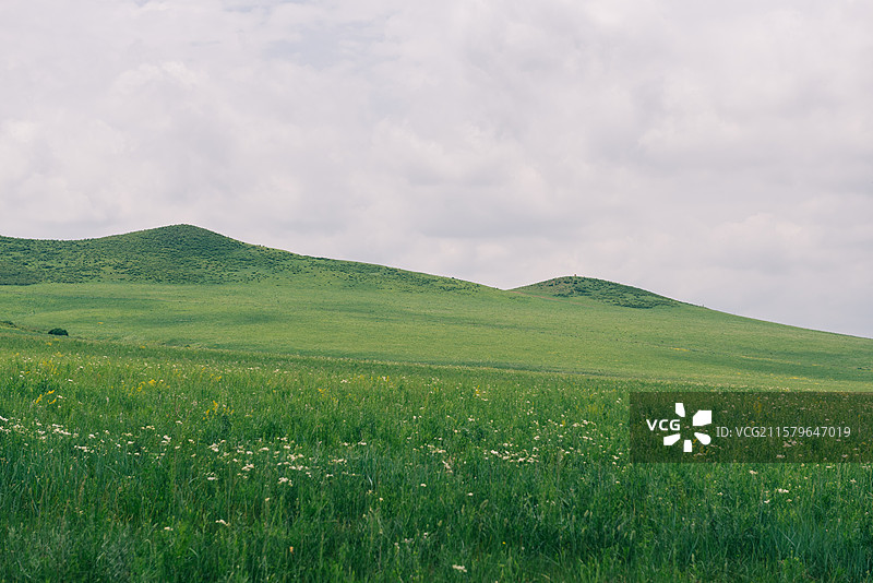 内蒙古通辽扎鲁特旗草原图片素材