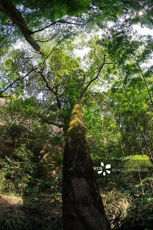 武夷山图片素材