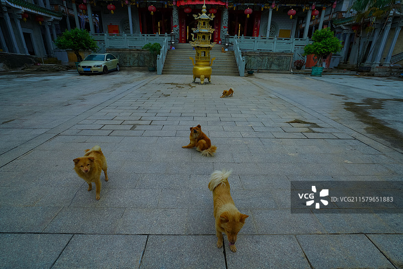 汕尾陆丰 水月禅寺 佛教建筑之美！图片素材