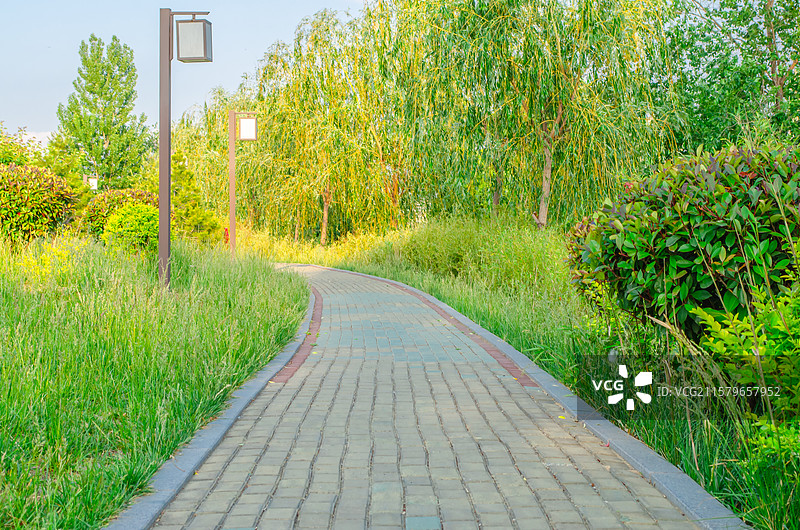 中国体育运动健身活动拍摄主题，生态绿地健身活动公园的铺路石人行道，户外白昼无人图像摄影图片素材