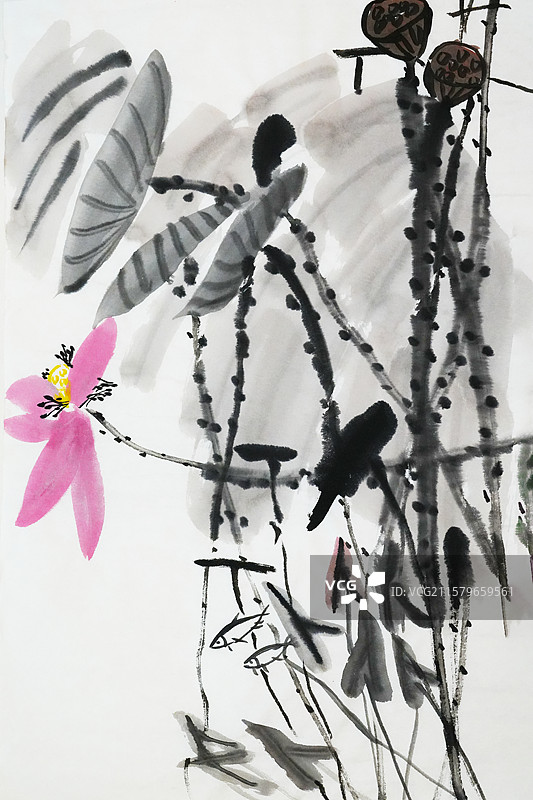 手绘插画齐白石风格中国画 荷花,荷叶,莲蓬,秋天,残荷图片素材