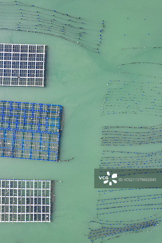 福建宁德霞浦海边渔网捕鱼渔业航拍风景图片素材