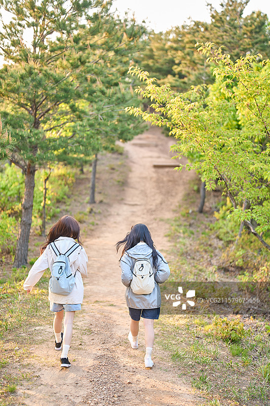 徒步旅行，健康生活，步行，自然，森林，旅行图片素材