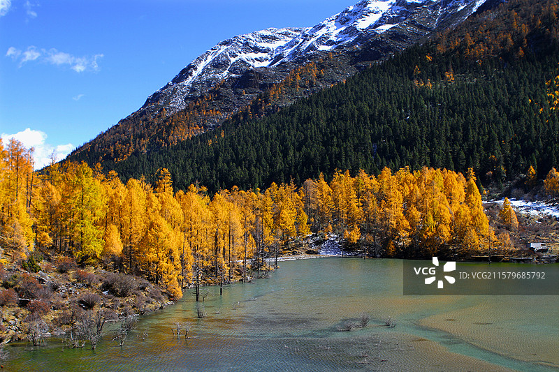 四川玛嘉沟森林湖泊秋色图片素材