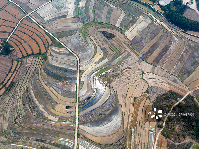 广西防城港市上思县在妙镇佛子村田园风光图片素材