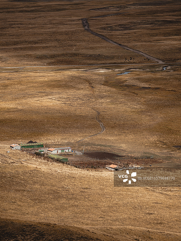 若尔盖大草原的秋天图片素材