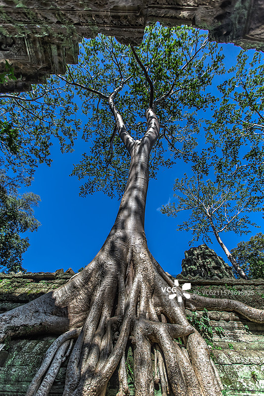 柬埔寨吴哥窟图片素材