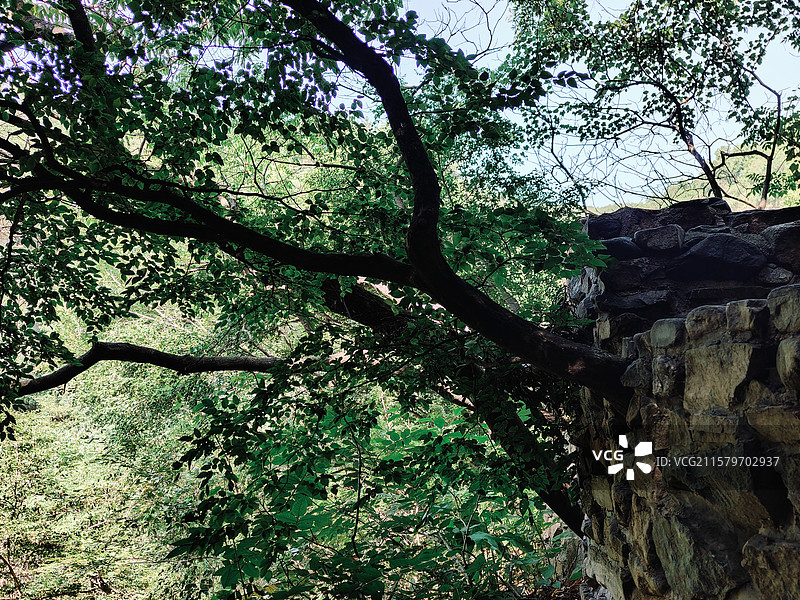 夏日五莲山九仙山黑龙潭大峡谷，小三峡风光图片素材