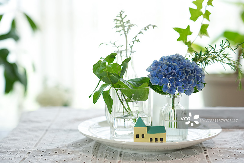 饭厅里的绿植和插花图片素材