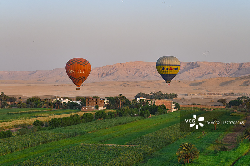 埃及卢克索田野上空的热气球风光图片素材