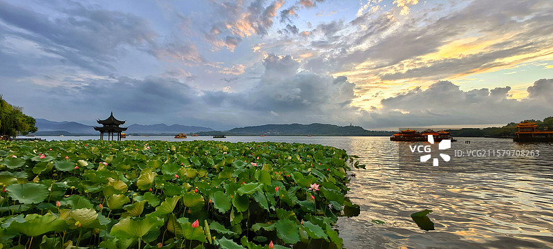 夏日西湖图片素材