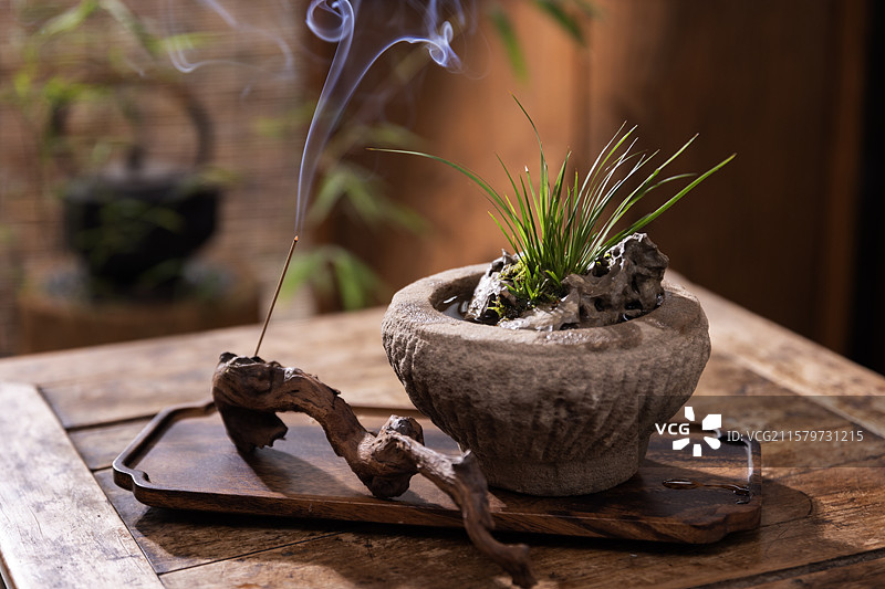 虎须菖蒲图片素材