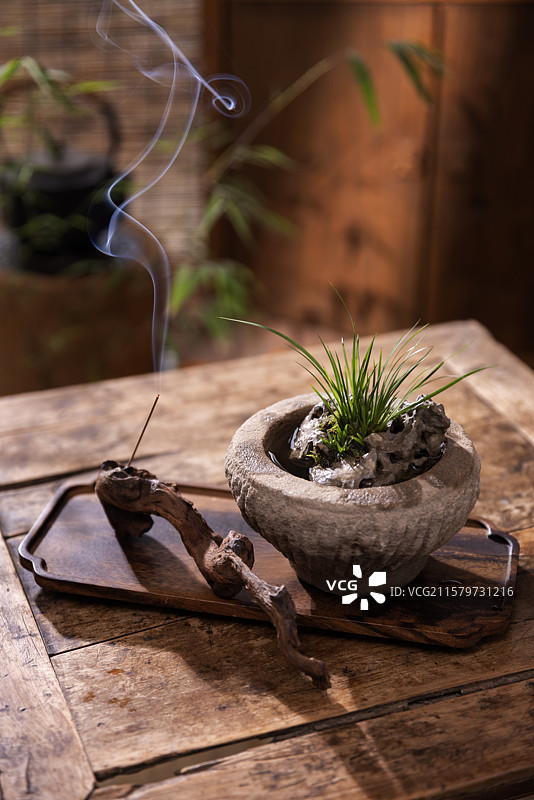 虎须菖蒲图片素材