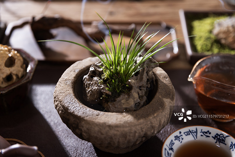 虎须菖蒲图片素材