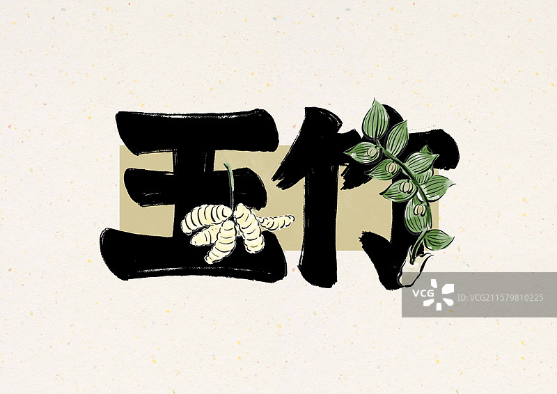 水墨风中草药文字-玉竹图片素材