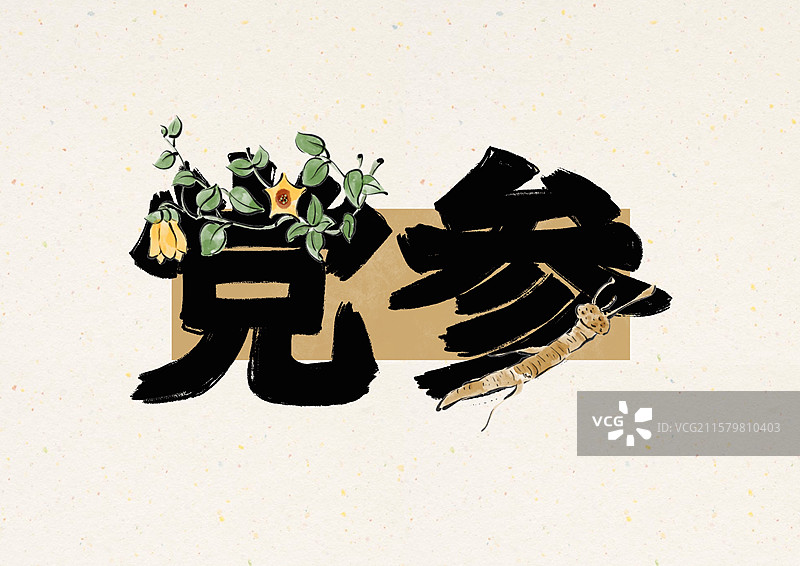 水墨风中草药文字-党参图片素材