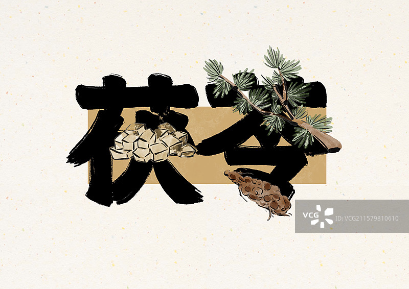 水墨风中草药文字-茯苓图片素材