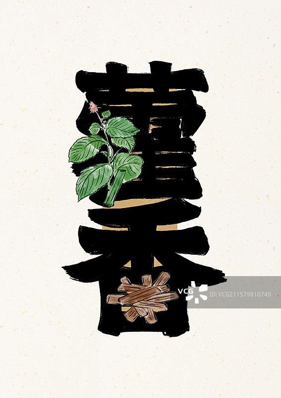 水墨风中草药文字-藿香图片素材