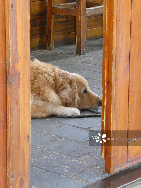 福建旅游泉州打卡点十二味咖啡馆内外部环境旅游纪实多视角组图素材图片素材