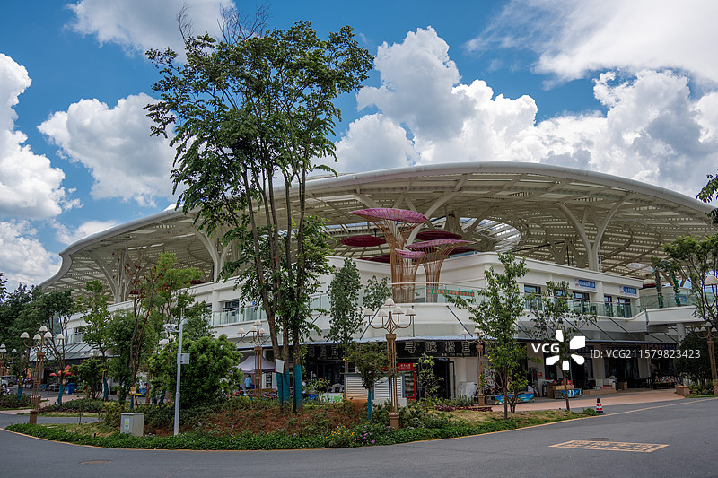 南华县野生菌交易市场图片素材